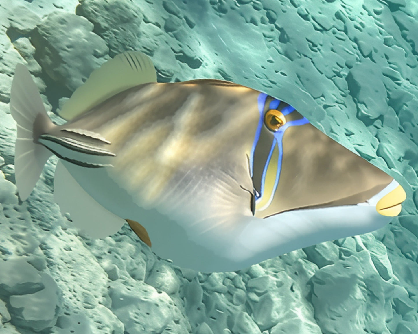 Picasso Triggerfish Underwater Photo – High-Resolution Digital Download | Vibrant Marine Life Wall Art | AI Enhanced Ocean Photography